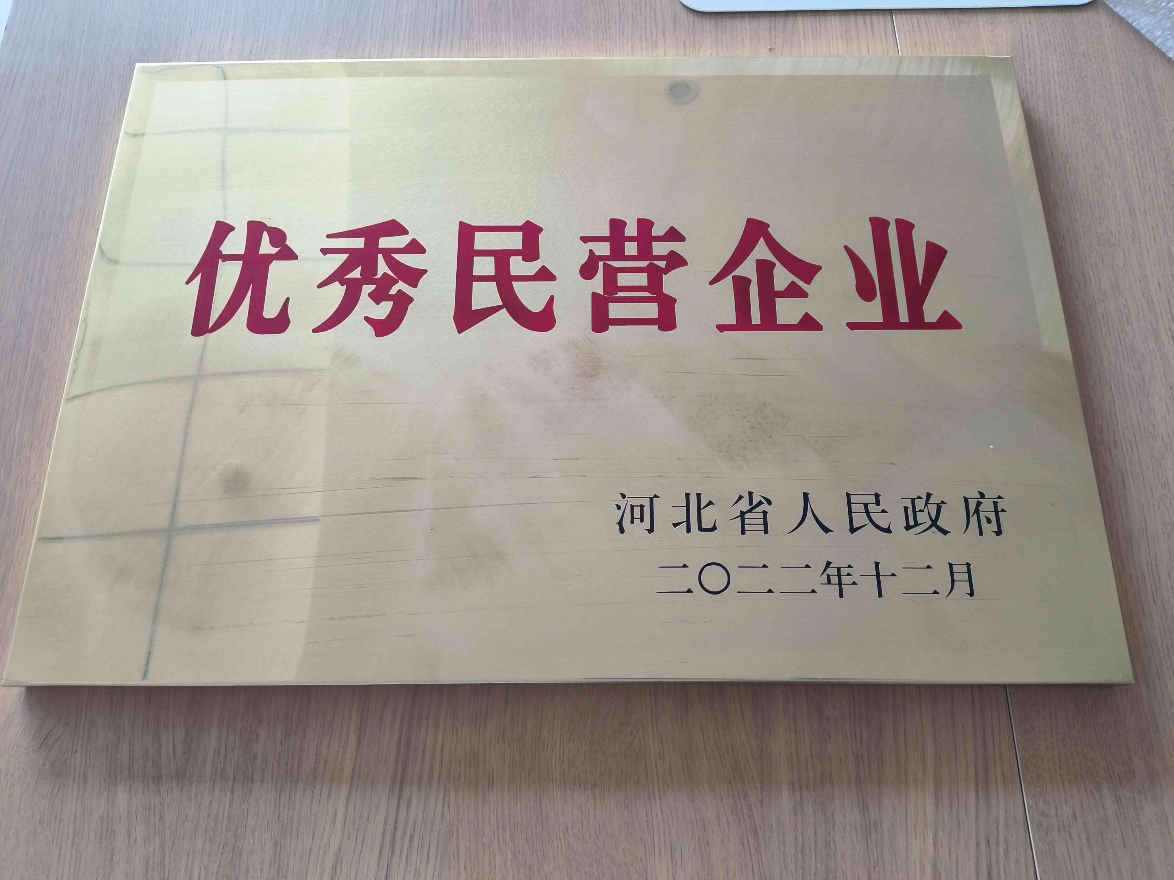 2022年優秀民營企業